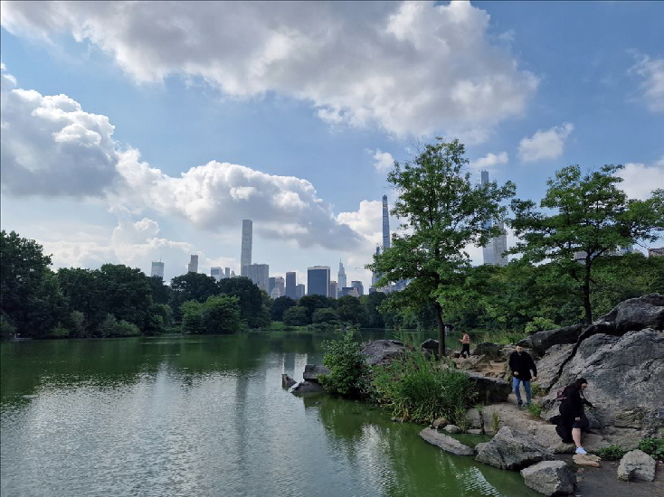 im Central Park