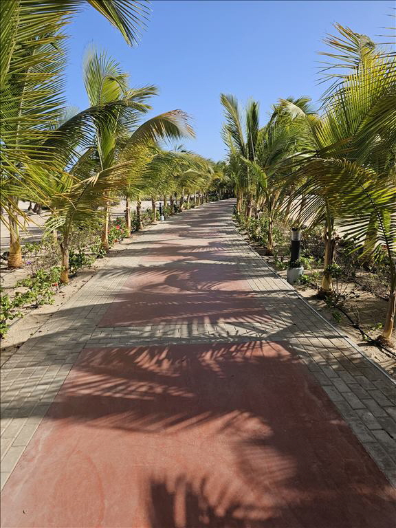 Weg Richtung Strand