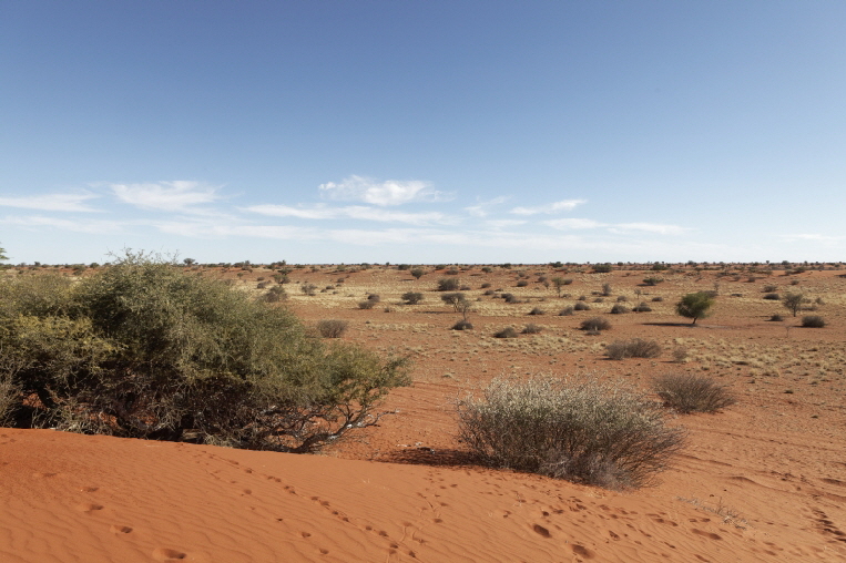 Ausblick auf die Kalahari